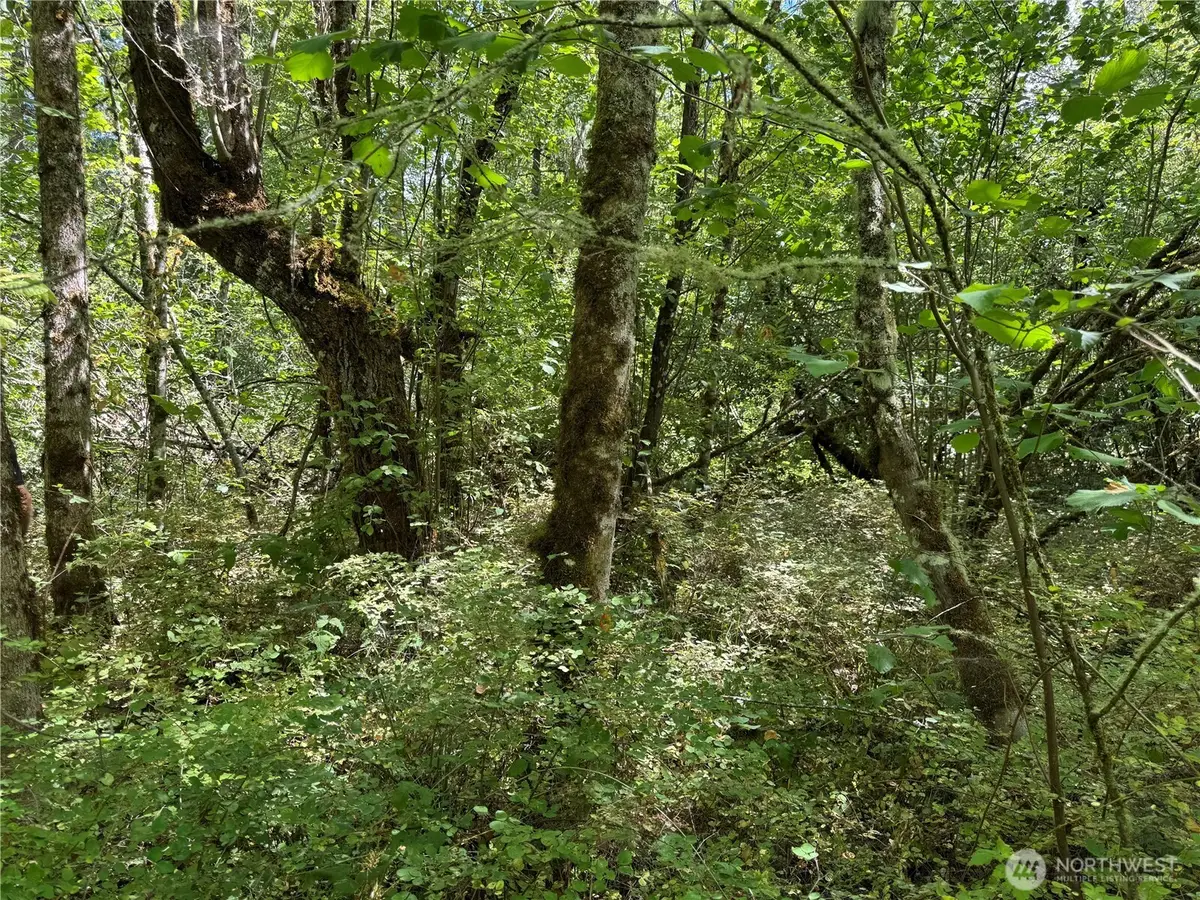 0 Chuckawa Lane Se, Yelm, WA 98597 - #1