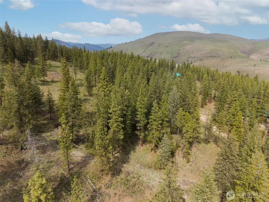 0 Whitebark Lane #61, Winthrop, WA 98862 - #3