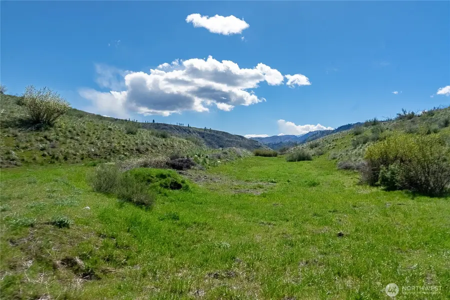 16 Dancing Bear Road, Carlton, WA 98814 - #2