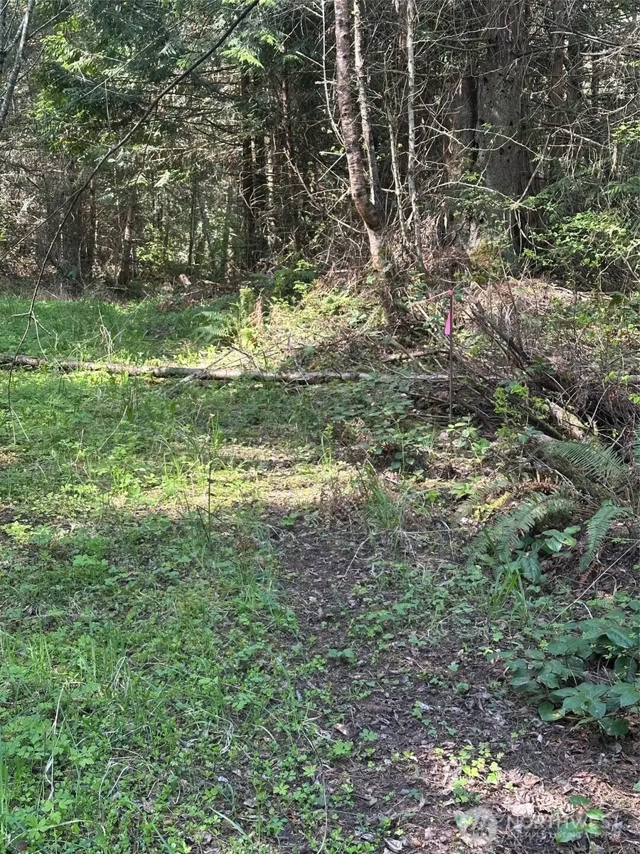 9999 Pristine Lane, Lot 1, Port Angeles, WA 98362 - #3