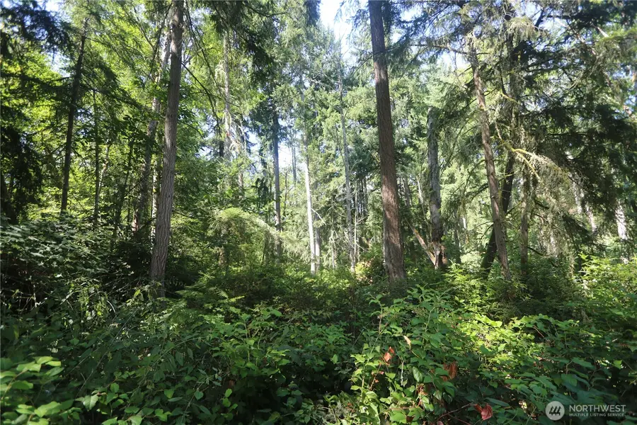 28686 141st Avenue Sw, Vashon, WA 98070 - #2