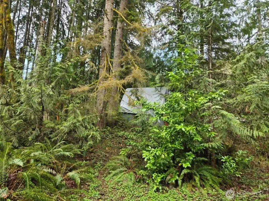 23208 Alder Drive, Granite Falls, WA 98252 - #3