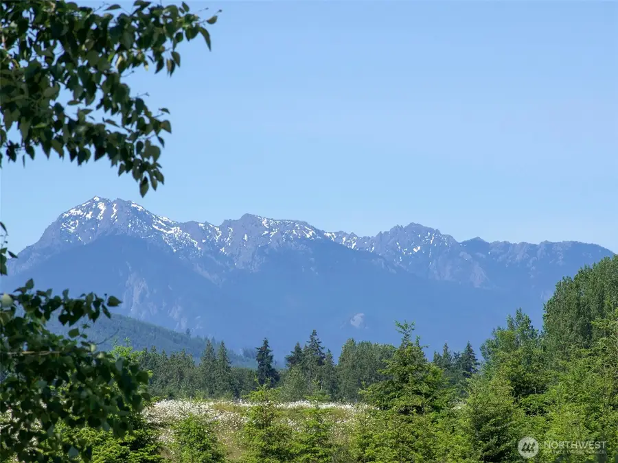 872 Still Road #4, Sequim, WA 98382 - #3