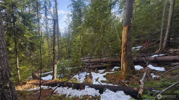 15839 Cedar Brae Road #83.5-85, Leavenworth, WA 98826