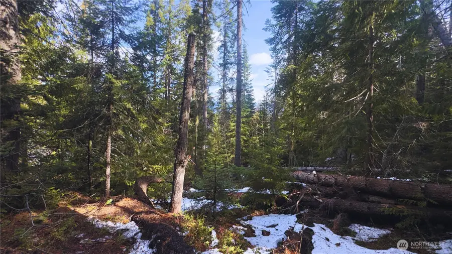 15839 Cedar Brae Road #83.5-85, Leavenworth, WA 98826 - #2