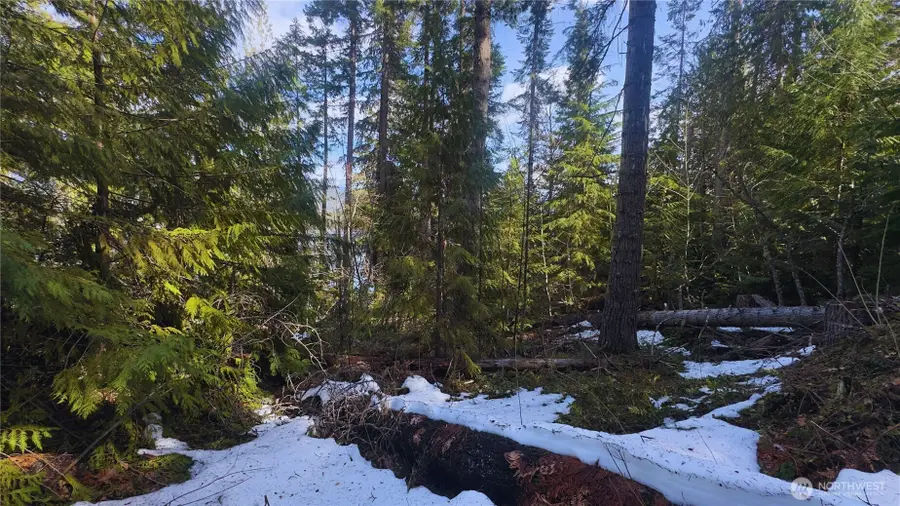 15839 Cedar Brae Road #83.5-85, Leavenworth, WA 98826 - #3