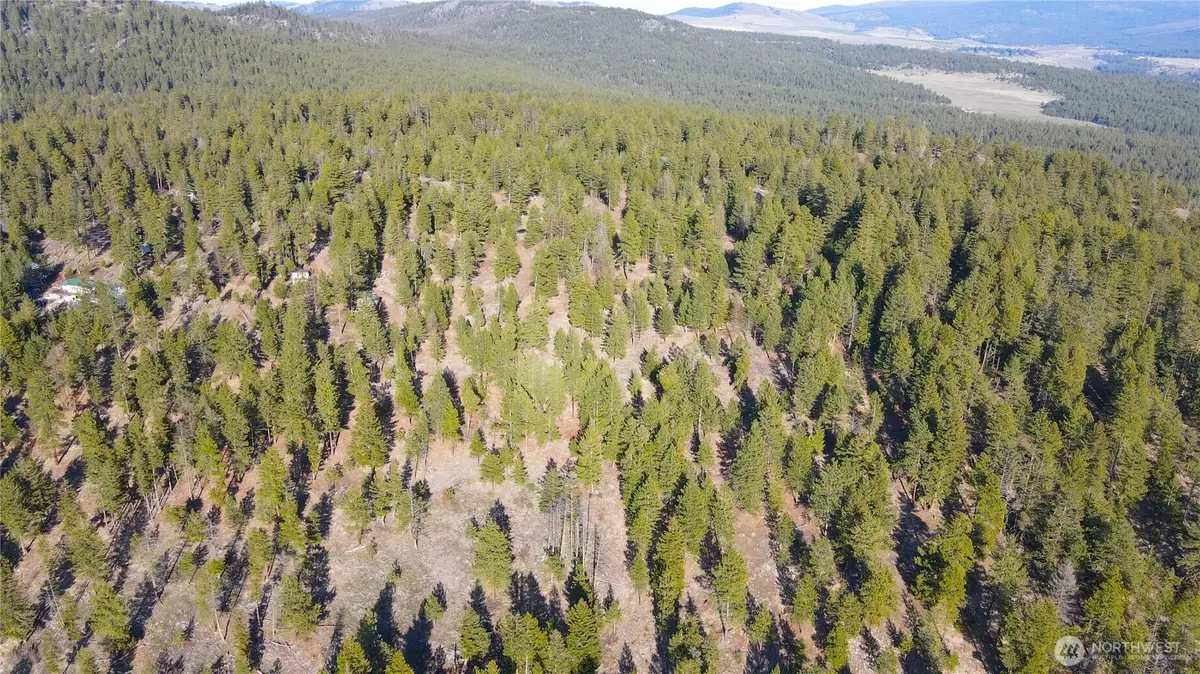 34 Morgan Mountain Trail, Tonasket, WA 98855 - #1