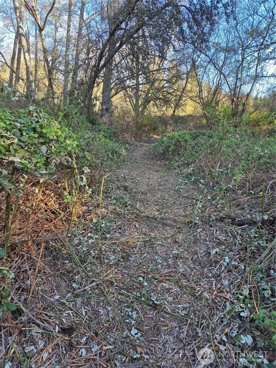 28 NE Sipes Lane #028, Bremerton, WA 98311 - #1