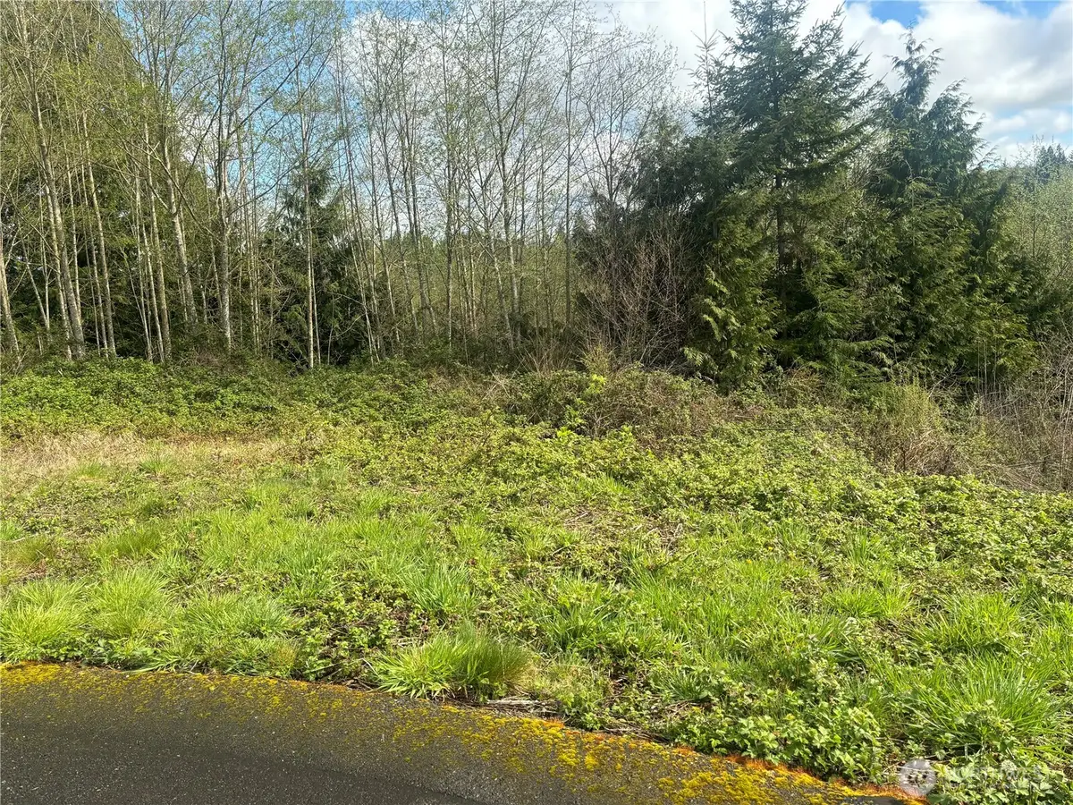 10 Timber Lane #10, Elma, WA 98541 - #1
