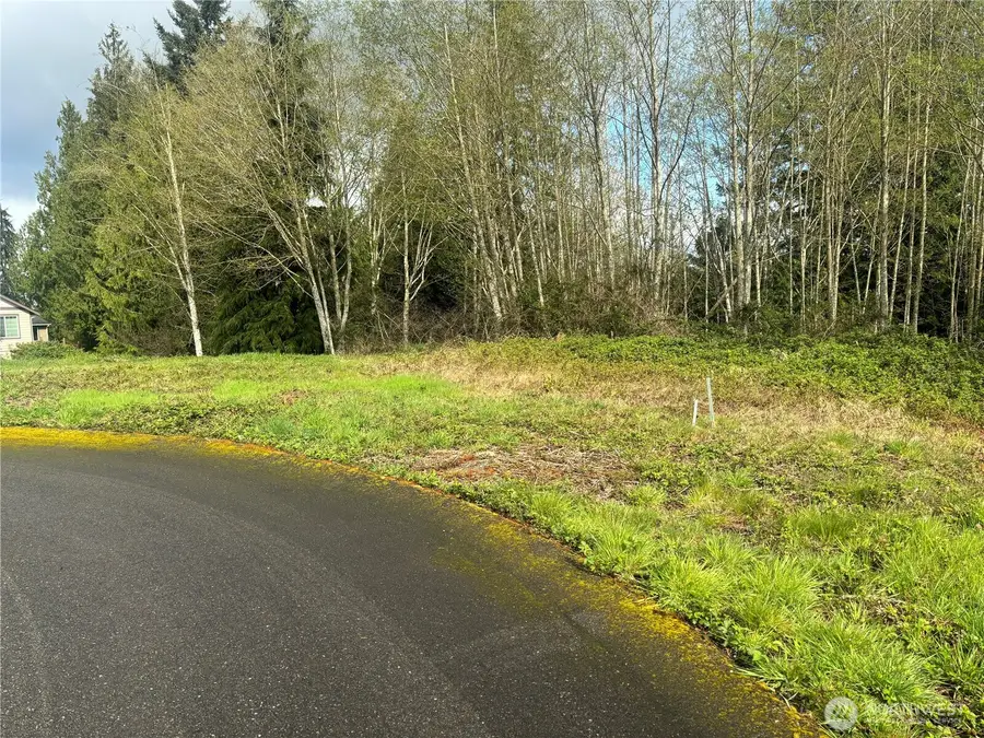 10 Timber Lane #10, Elma, WA 98541 - #2