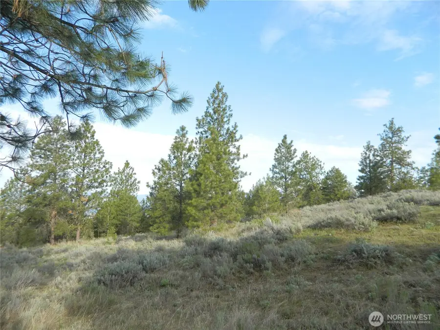 0 Tbd Rehmke Road, Tonasket, WA 98855 - #2
