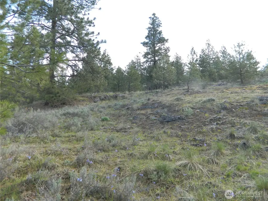 0 Tbd Rehmke Road, Tonasket, WA 98855 - #3
