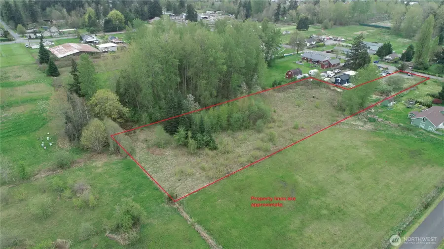 11703 34th Avenue E, Tacoma, WA 98446 - #2