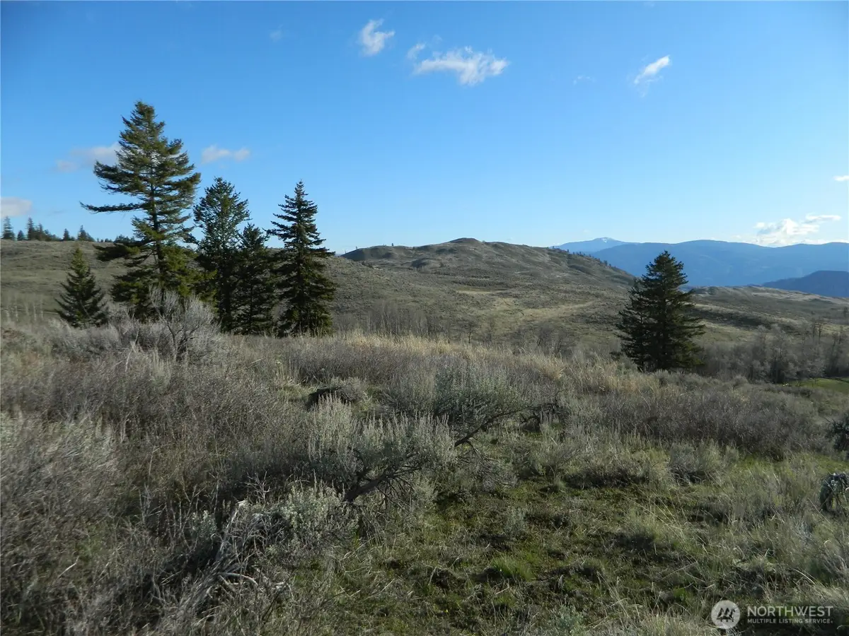 0 Tbd Ellemeham Ridge Road, Tonasket, WA 98855 - #1