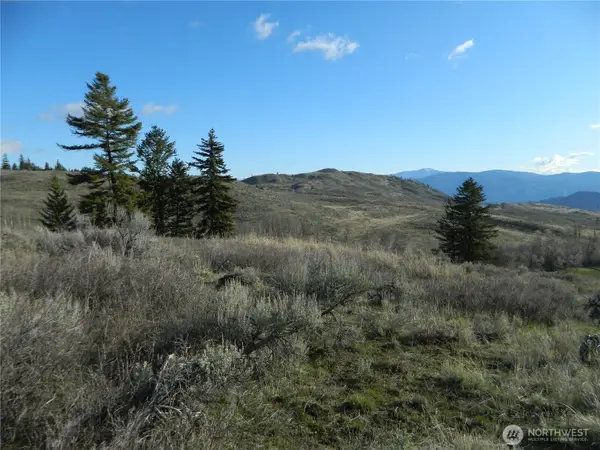 0 Tbd Ellemeham Ridge Road, Tonasket, WA 98855