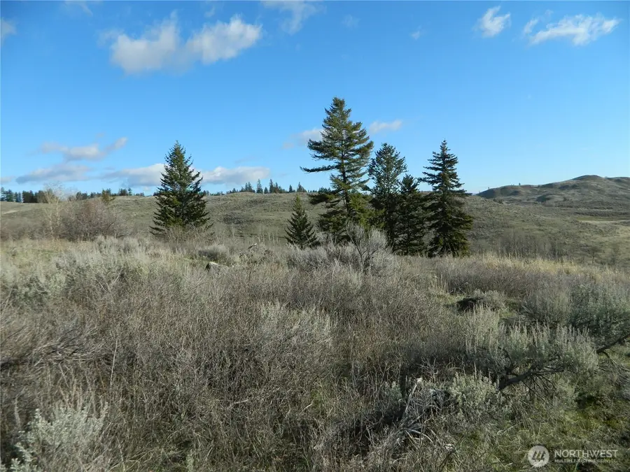 0 Tbd Ellemeham Ridge Road, Tonasket, WA 98855 - #2