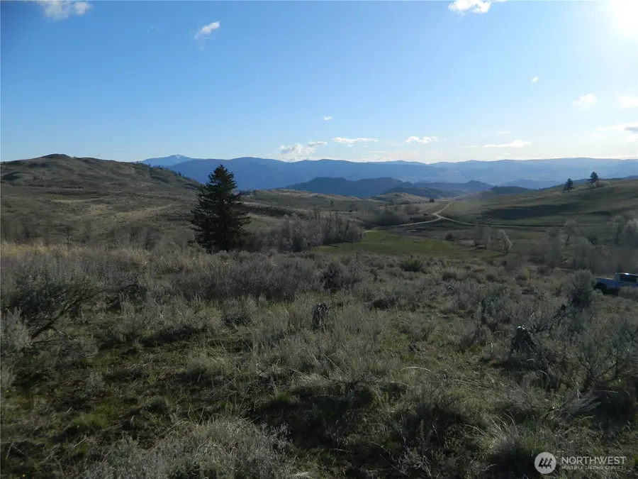 0 Tbd Ellemeham Ridge Road, Tonasket, WA 98855 - #3