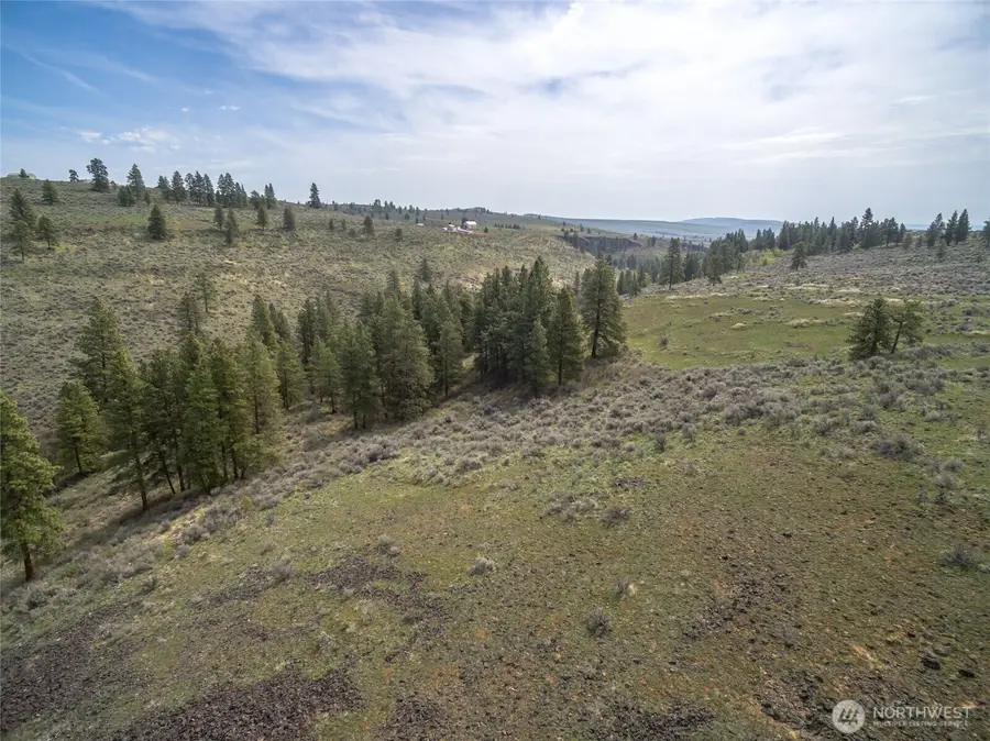 107 Wild Turkey Road #4, East Wenatchee, WA 98802 - #3