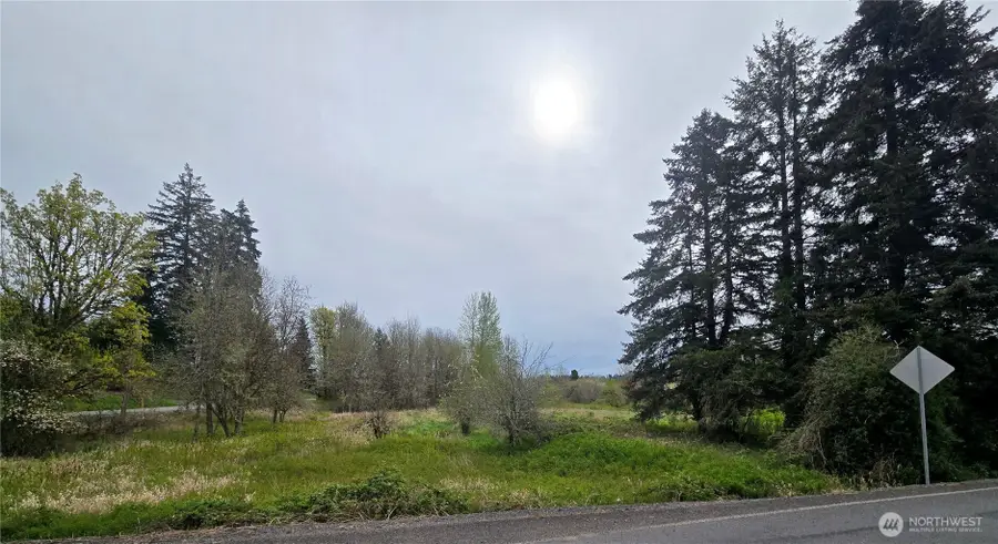 198 Chandler Road, Doty, WA 98539 - #3