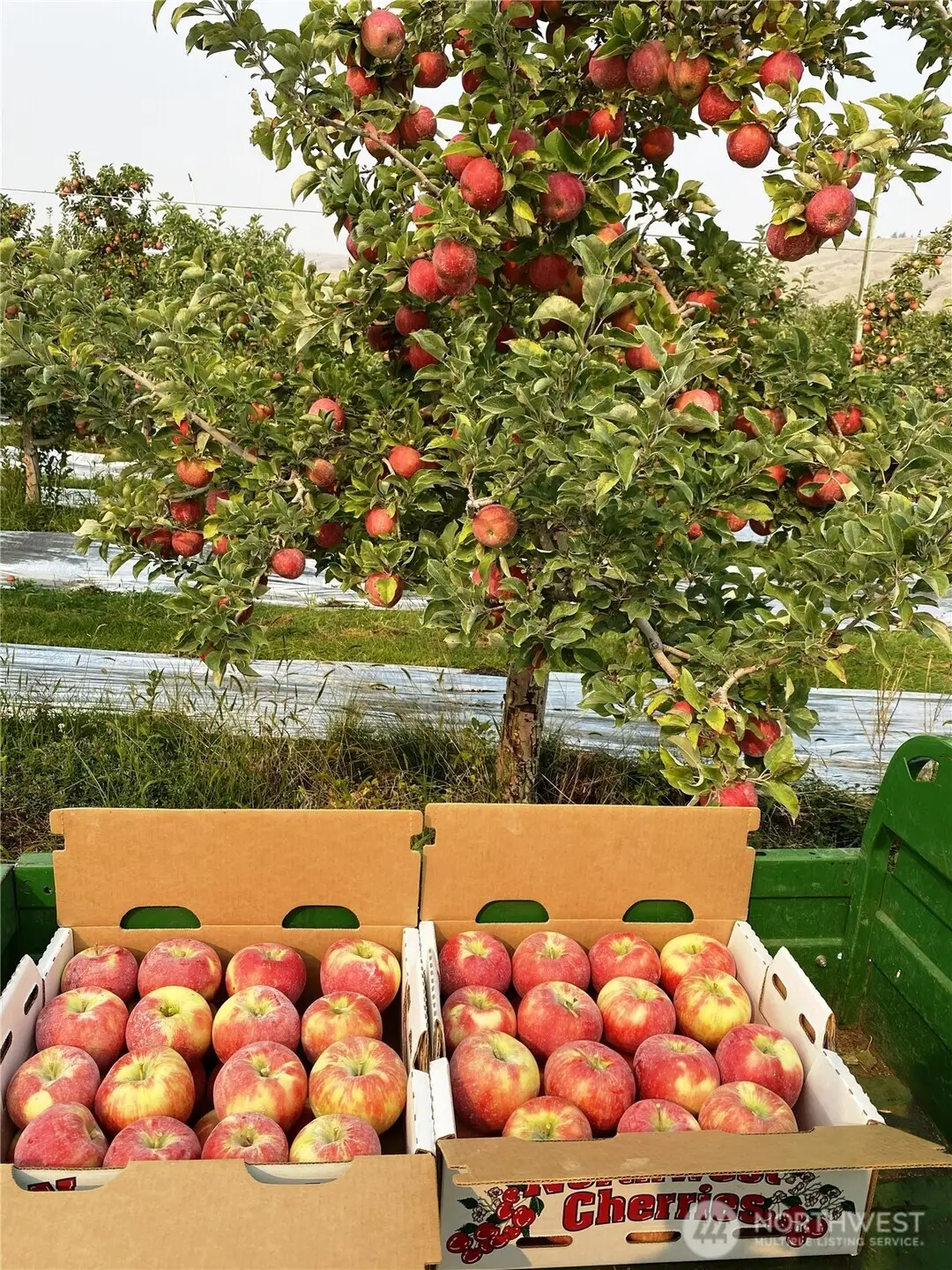 618 Jack Wells Road, Bridgeport, WA 98813 - #1