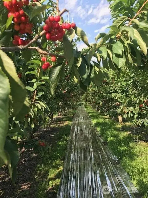 543 Jack Wells Road, Bridgeport, WA 98813 - #2