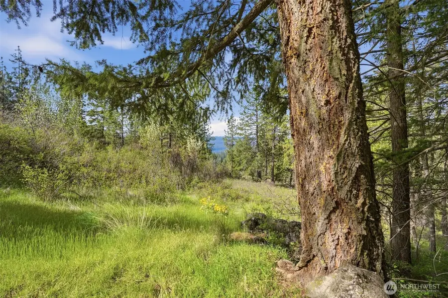 0 N Abigail Lane, Spokane, WA 99208 - #3