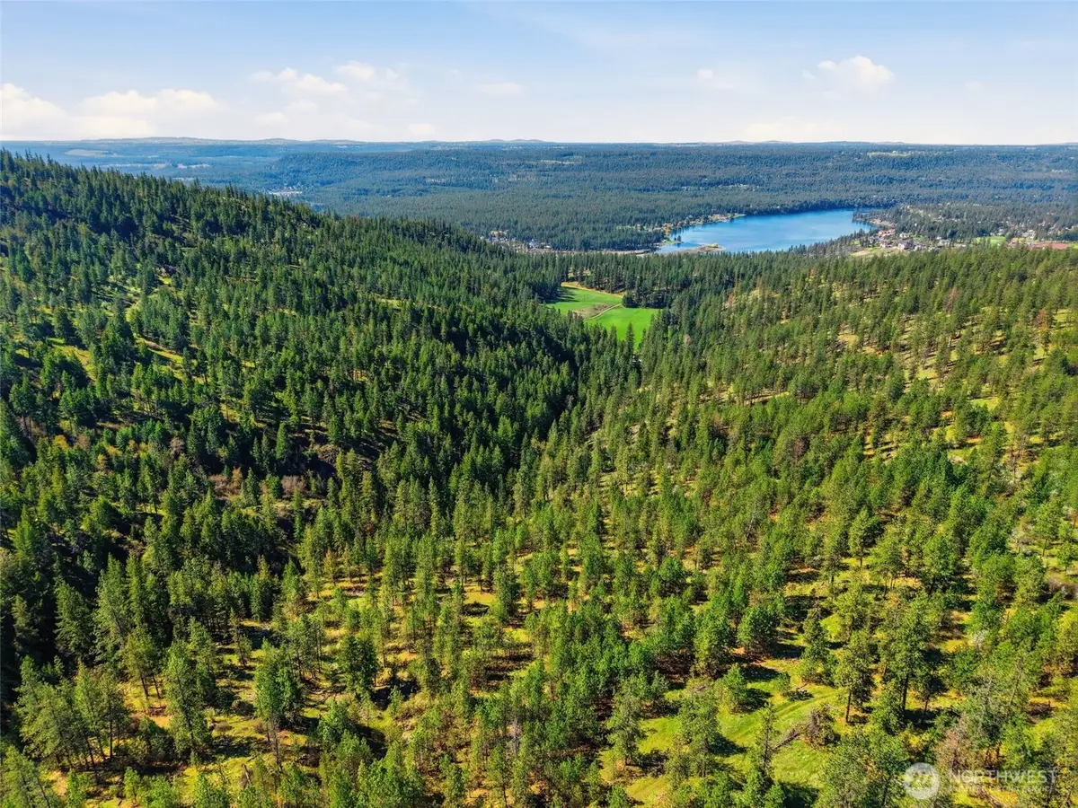 0 N Abigail Lane, Nine Mile Falls, WA 99208 - #1