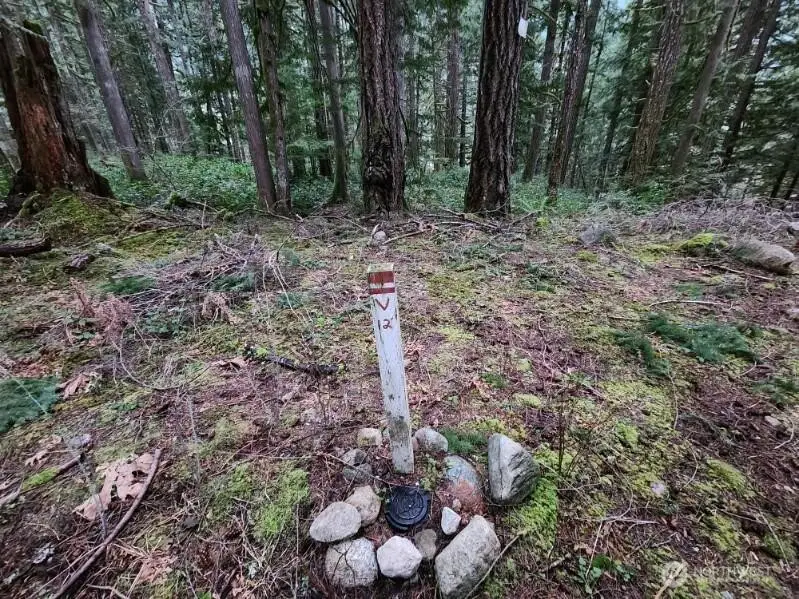 0 Cascade River Road, East Skagit, WA 98267 - #2