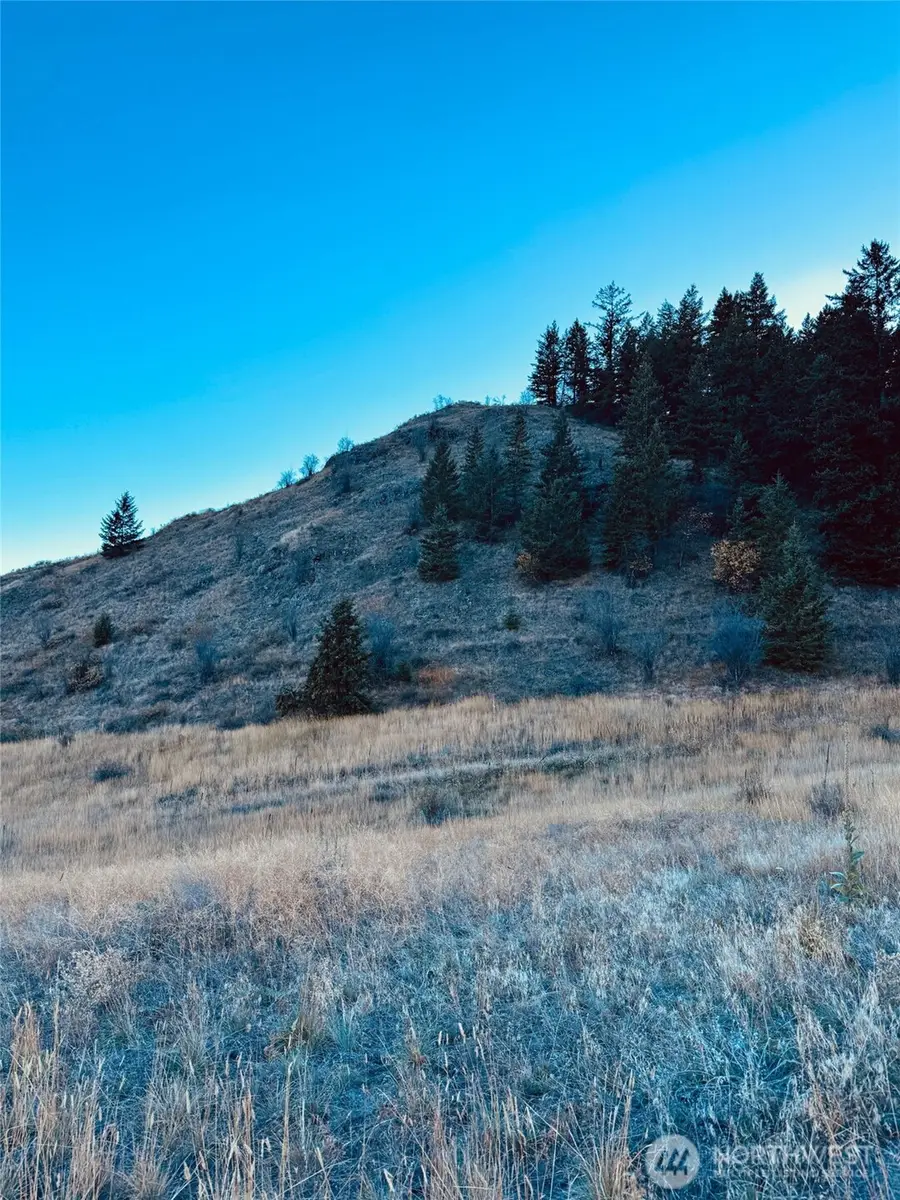 11 Gafvery Creek Road, Oroville, WA 98844 - #3