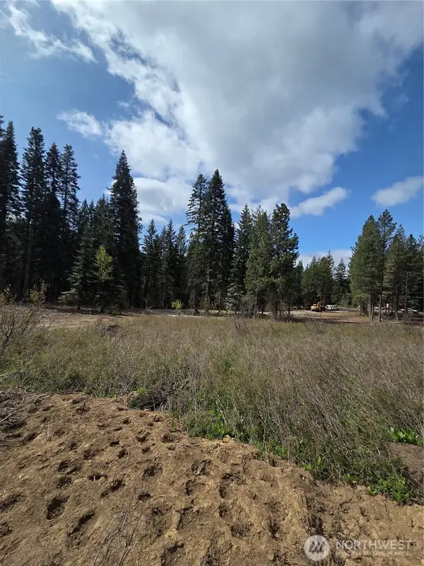 5 Double O Road #05, Ronald, WA 98940