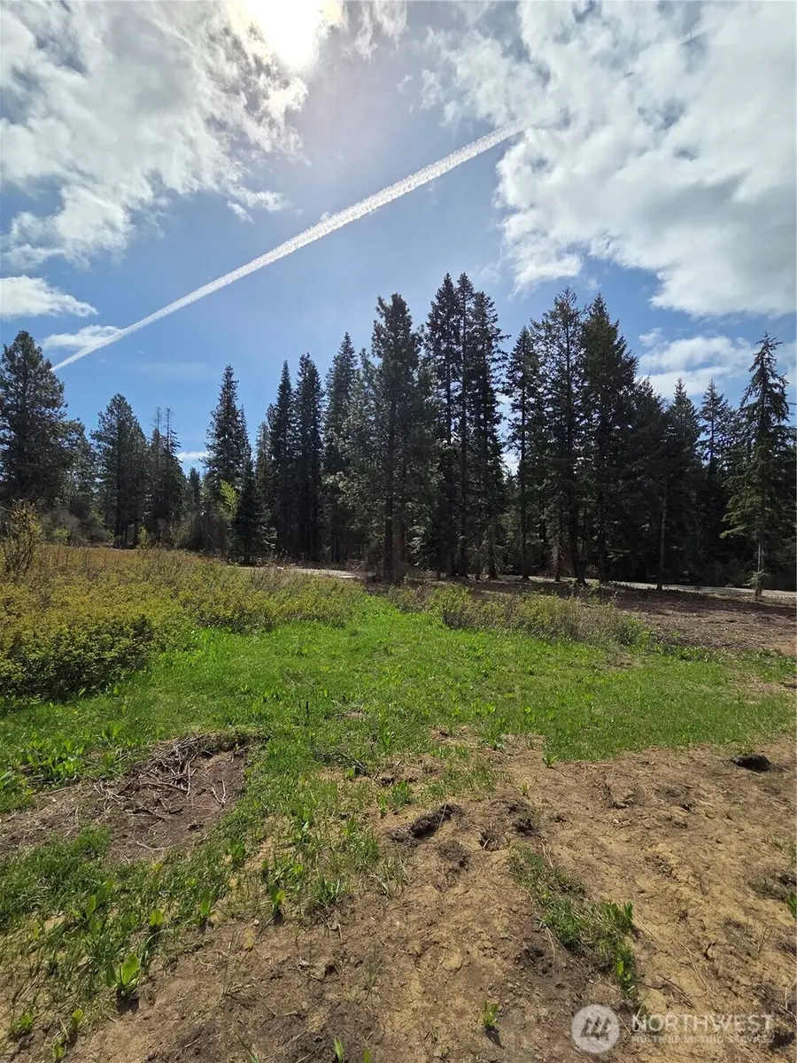 5 Double O Road #05, Ronald, WA 98940 - #2