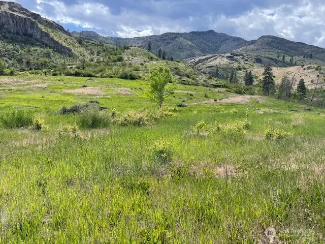 2 Lot 2 Black Canyon Road #2, Pateros, WA 98846 - #2