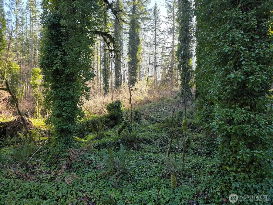 7311 226th Avenue Ne #1,2,3 & 4, Granite Falls, WA 98252 - #2
