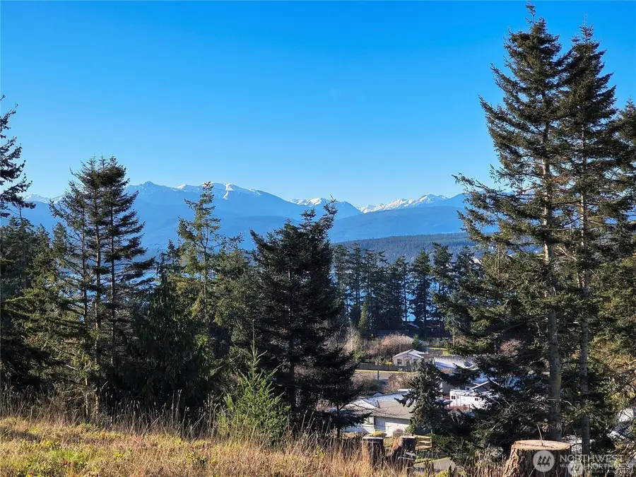 188 S Rhododendron Dr. #29, Port Townsend, WA 98368 - #2