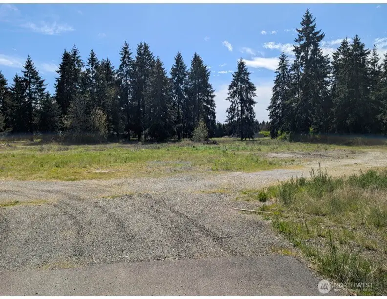 9019 173rd Avenue Sw, Rochester, WA 98579 - #1
