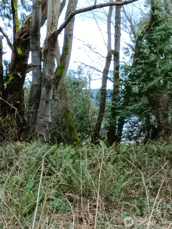 111 Crest Place, Hat Island, WA 98206