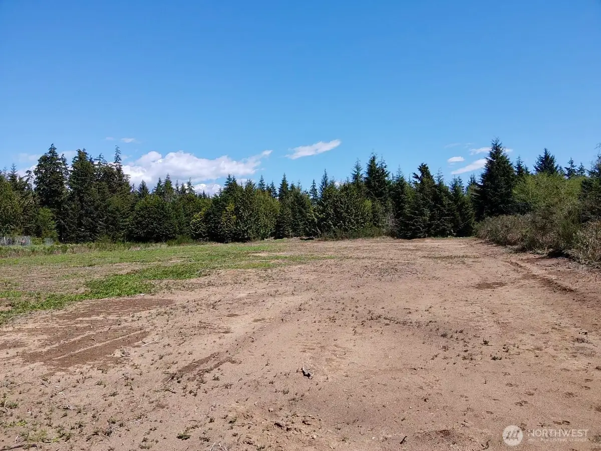 81 Plum Street #LOT 3 OF SSA 83-31 VOL 3 PG 31, Ocosta, WA 98569 - #1