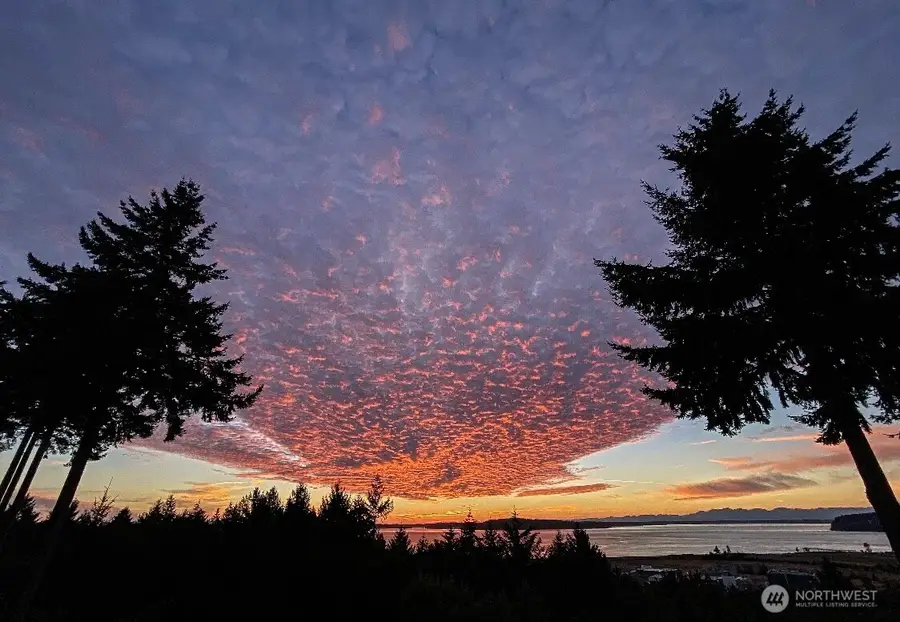 9922 71st Street Sw, Lakewood, WA 98498 - #3