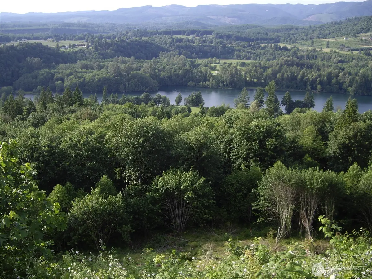 2 Birley Rd, Mossyrock, WA 98564 - #1