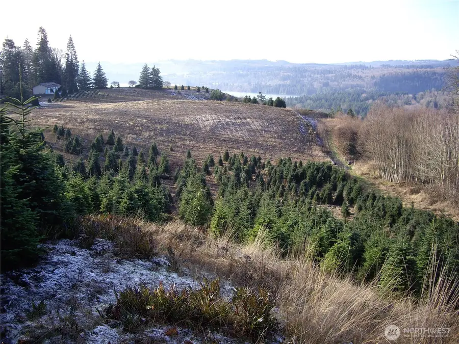 2 Birley Rd, Mossyrock, WA 98564 - #2