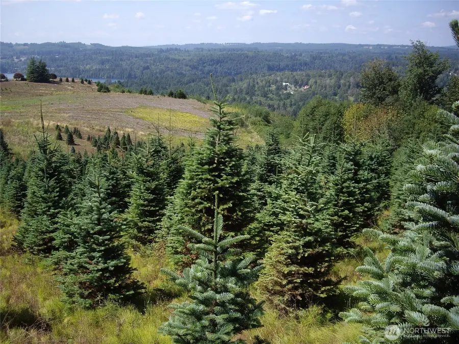 2 Birley Rd, Mossyrock, WA 98564 - #3