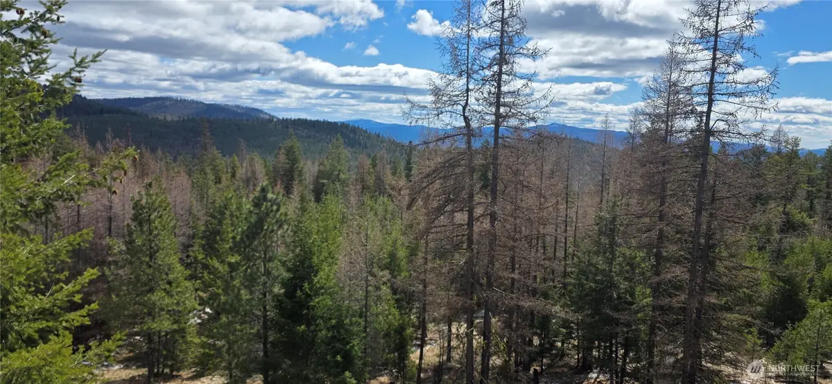 1111 Tbd Bandtman Rd, Tonasket, WA 98844 - #1