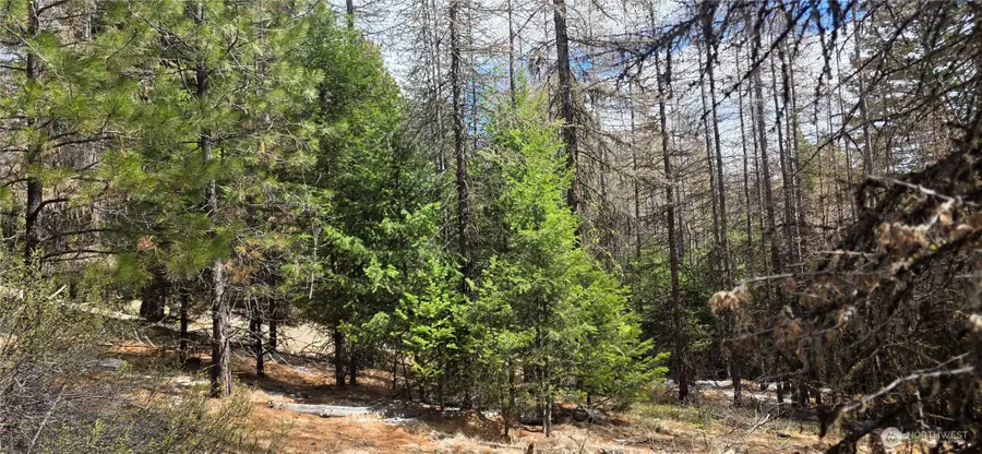 1111 Tbd Bandtman Rd, Tonasket, WA 98844 - #2