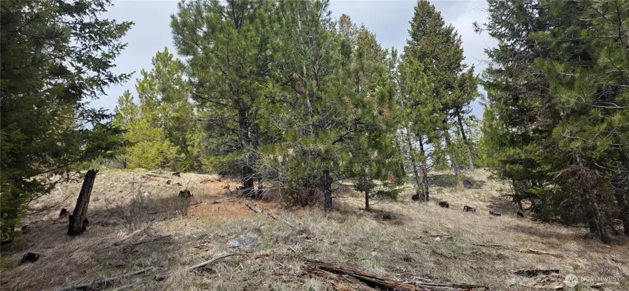 1111 Tbd Bandtman Rd, Tonasket, WA 98844 - #3