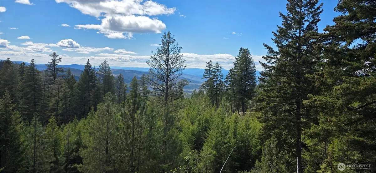 1112 Tbd Bandtman Creek Rd, Tonasket, WA 98855 - #1