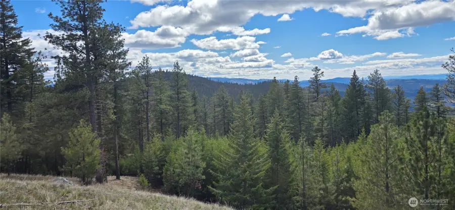 1112 Tbd Bandtman Creek Rd, Tonasket, WA 98855 - #2