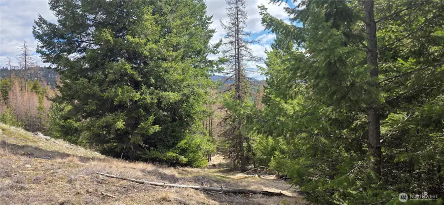 1112 Tbd Bandtman Creek Rd, Tonasket, WA 98855 - #3