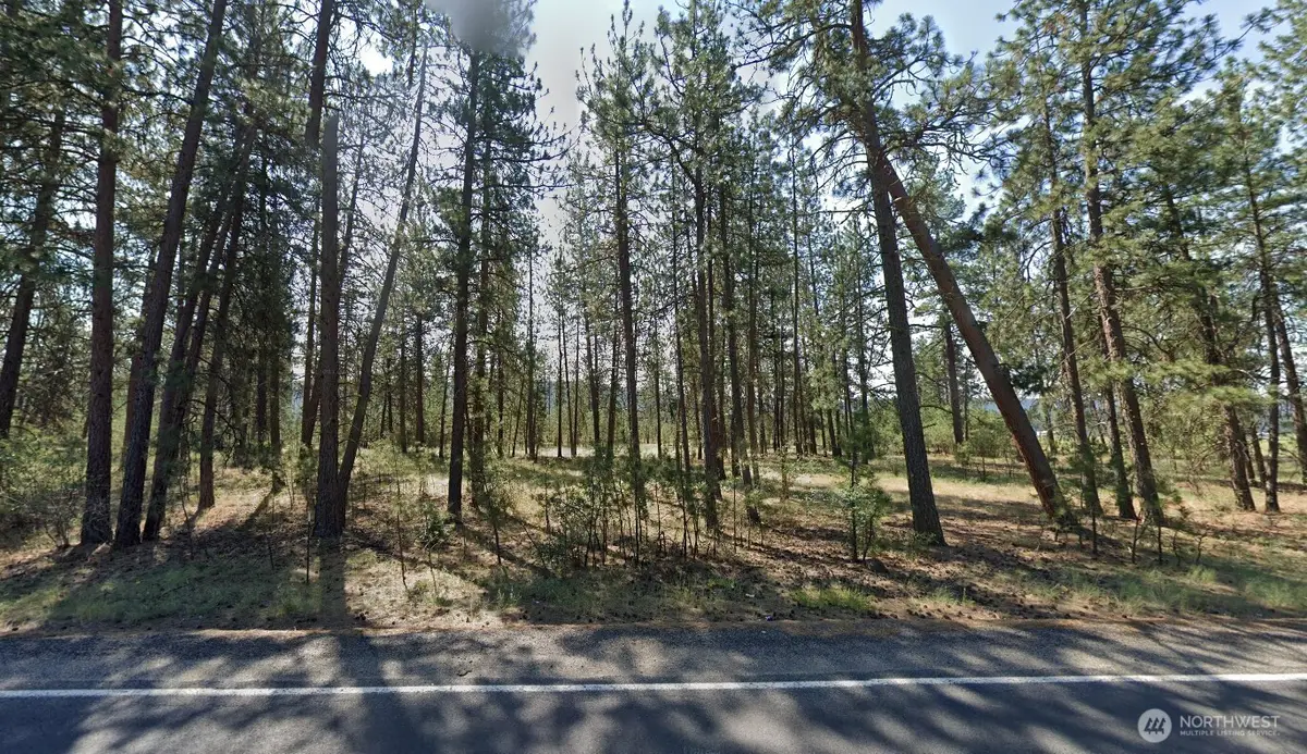 7293 Highway 291, Tumtum, WA 99034 - #1