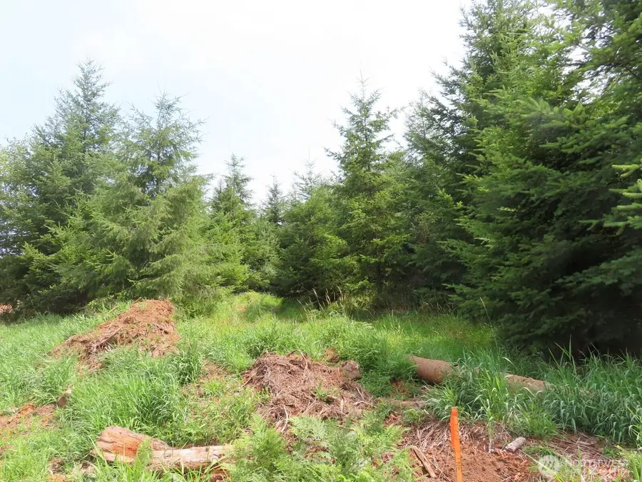 0 Mill Creek Lane #C, Longview, WA 98632 - #3