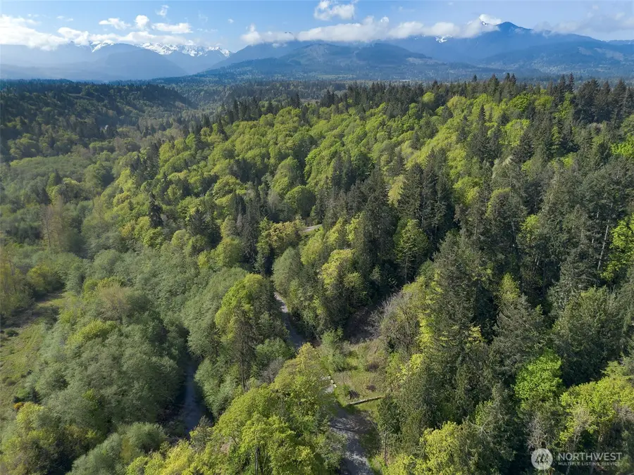 9999 Cottonwood Lane, Port Angeles, WA 98362 - #2